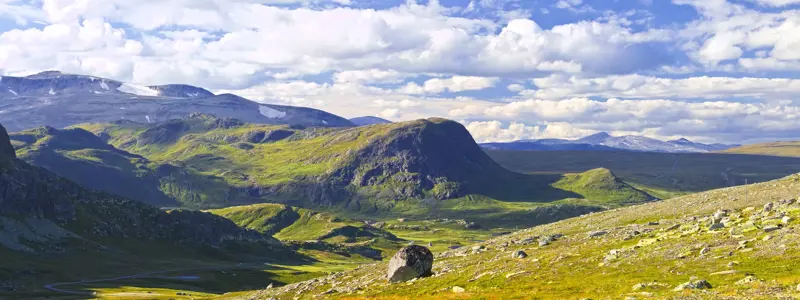 Group 4 MG 8331 MG 8338 8 Images Preview