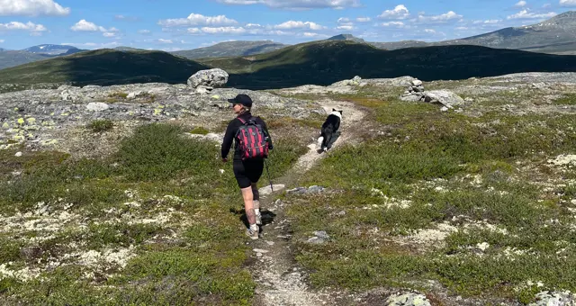 Ferie Norge