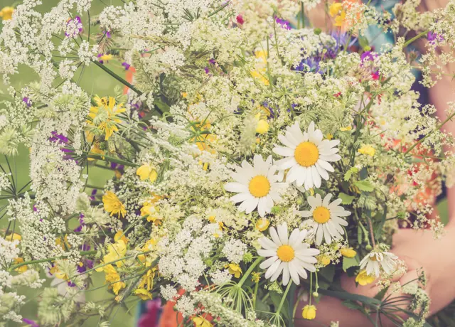 Midsummer celebration at Casa Montagna
