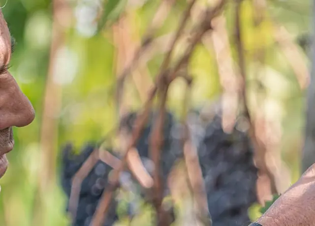 Screenshot 2026 02 09 At 182156