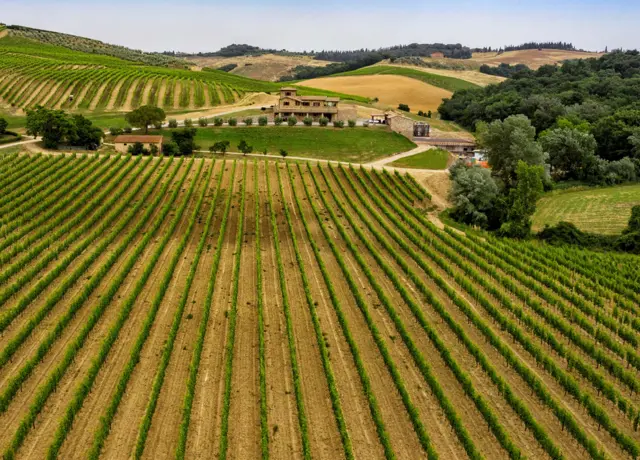 Screenshot 2026 02 09 At 182811