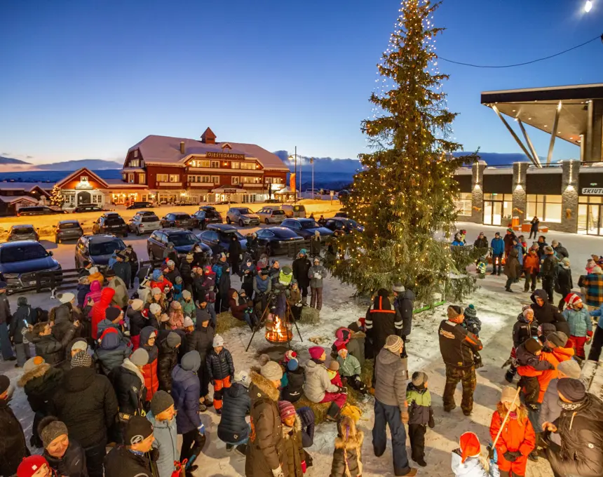 Julegran Beitost%C3%B8len 9 2589340687