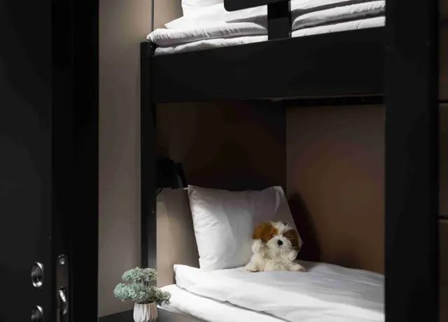 Jpeg Optimizer 2025 01 21 Riddergaarden Advertisingshoot Day 1 Cathrine 4592