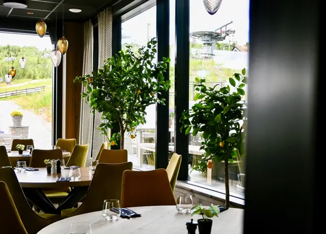 Riddergaarden 33
